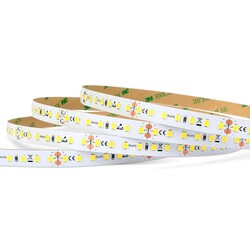 LED strip LR05543, 2700K, 24V, 12W/m, 1552lm/m, IP20, CRI80