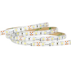 LED strip LR06113, 2400K, 12V, 4W/m, 360lm/m, IP20, CRI80