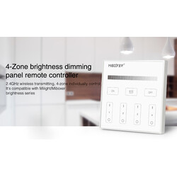 Remote panel T1, 2,4 GHz, Mono, DTW